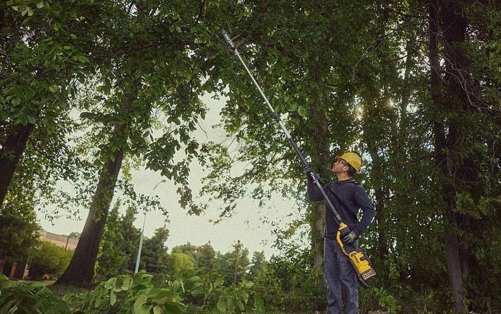man uses dewalt pole saw